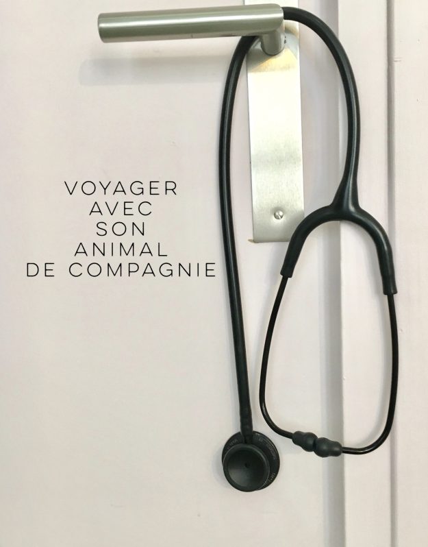 vetinparis veterinaire paris