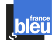 France bleu les experts vetinparis