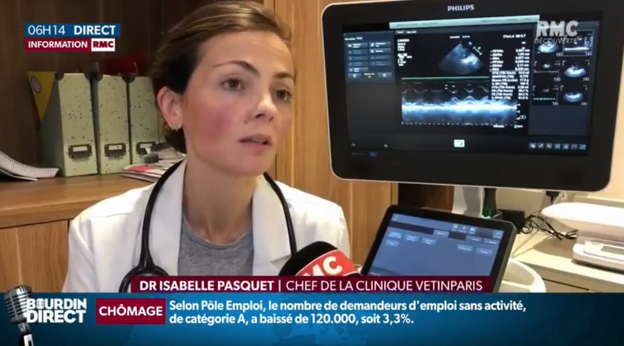 L'identification des carnivores domestiques