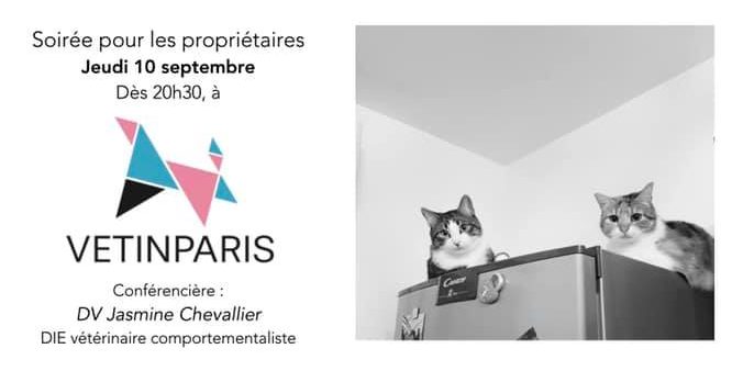 comportement chat Soirée Comportement Félin VETINPARIS