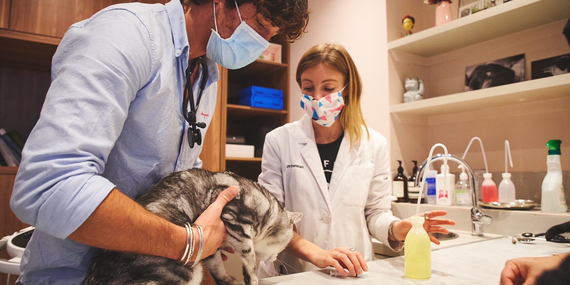 veterinaire urgence paris veterinaire urgence paris