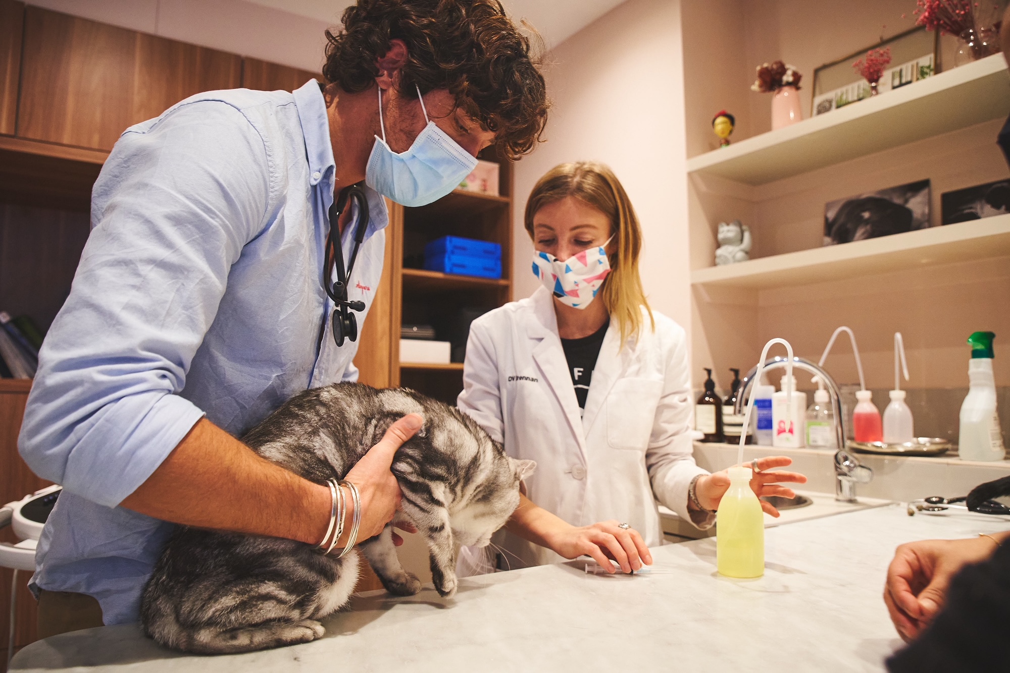 veterinaire urgence paris