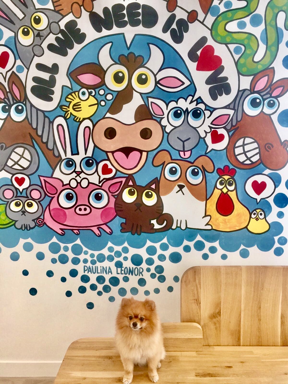 Stérilisation chien ovariectome chirurgie veterinaire paris