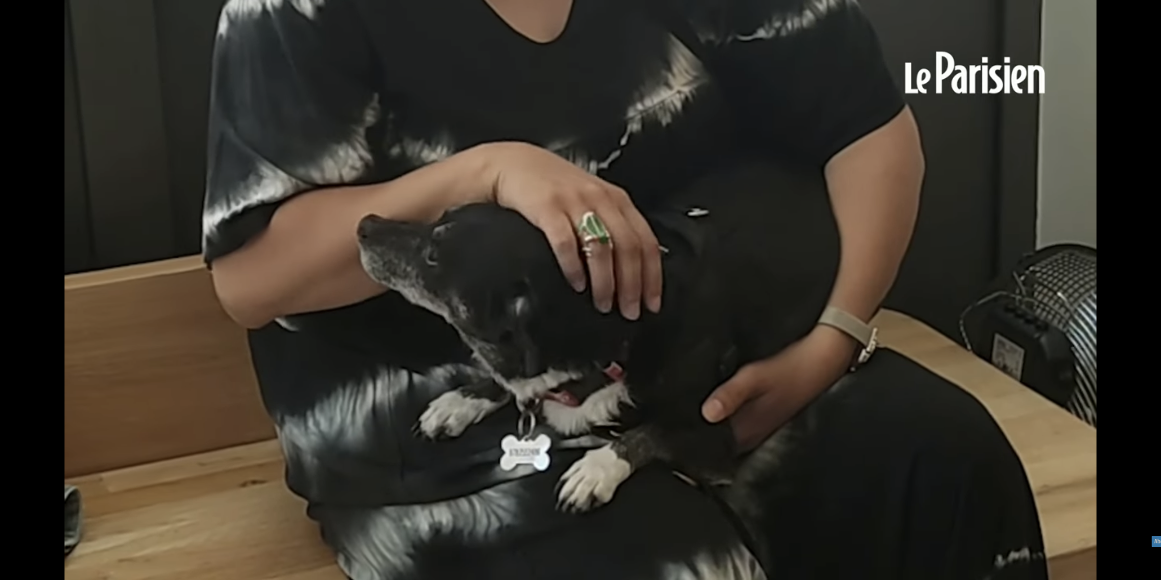 Vetinparis veterinaire paris le parisien