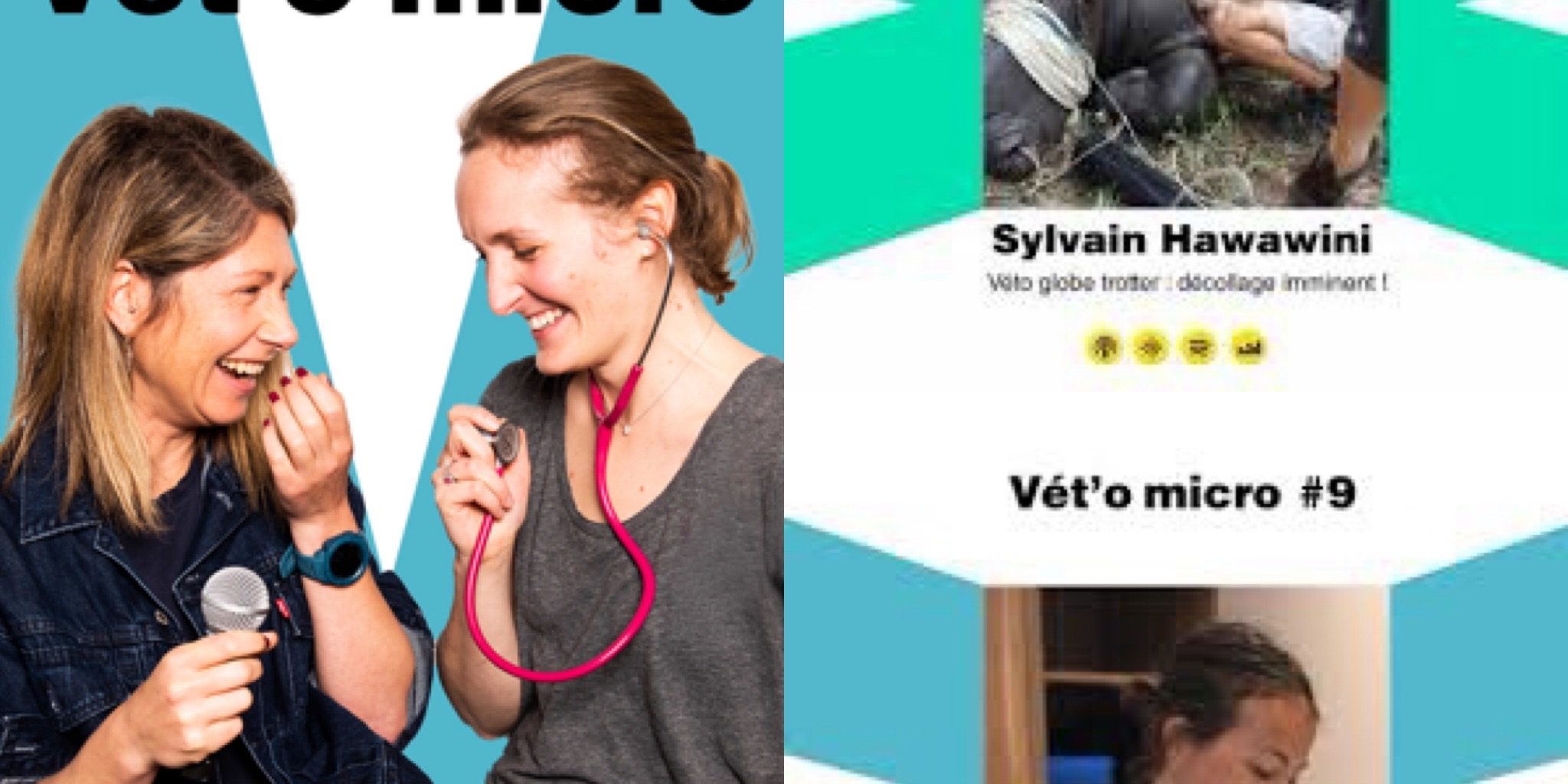 VET O MICRO VET O MICRO