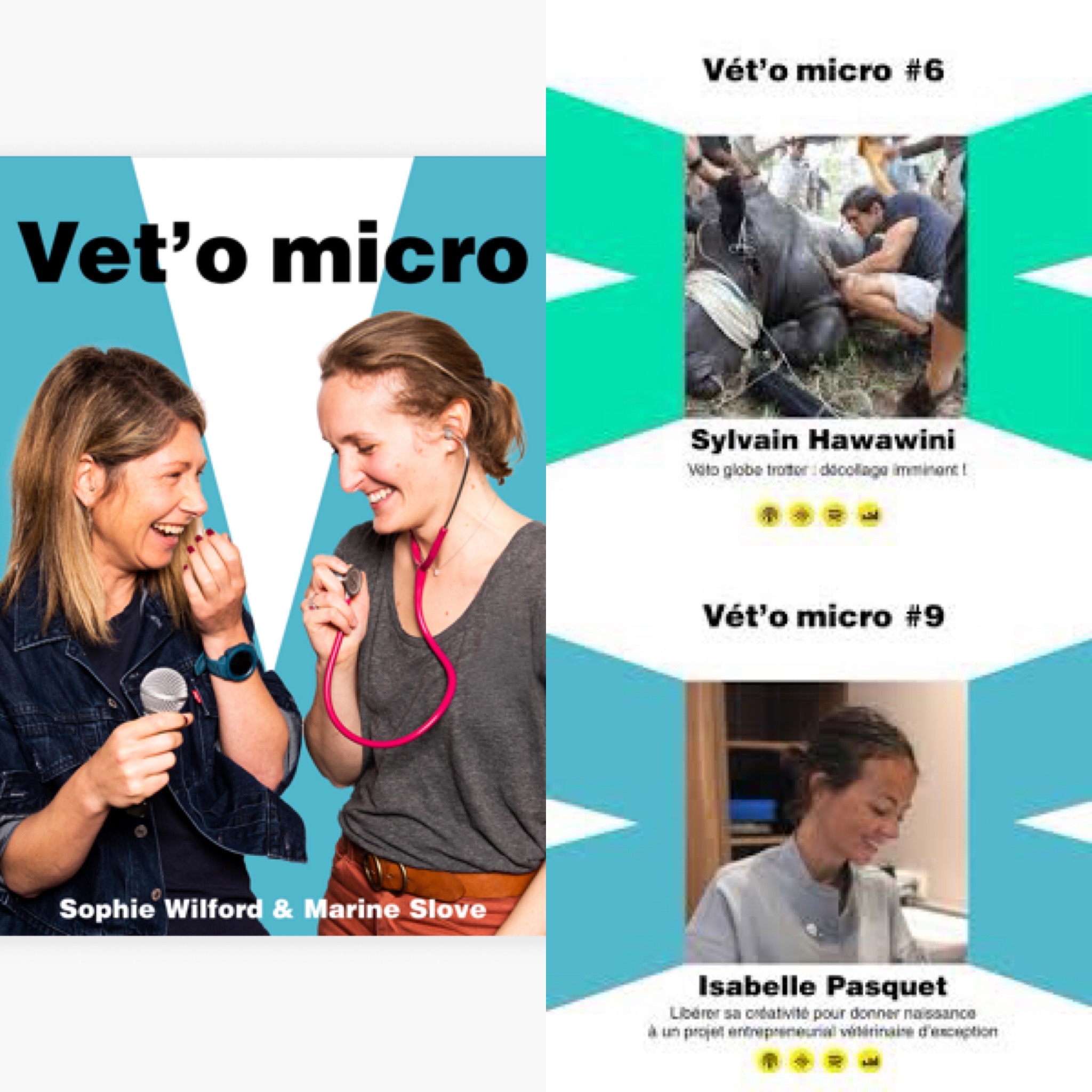 VET O MICRO