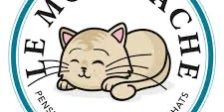 Pension pour chat Paris Garde chat Paris