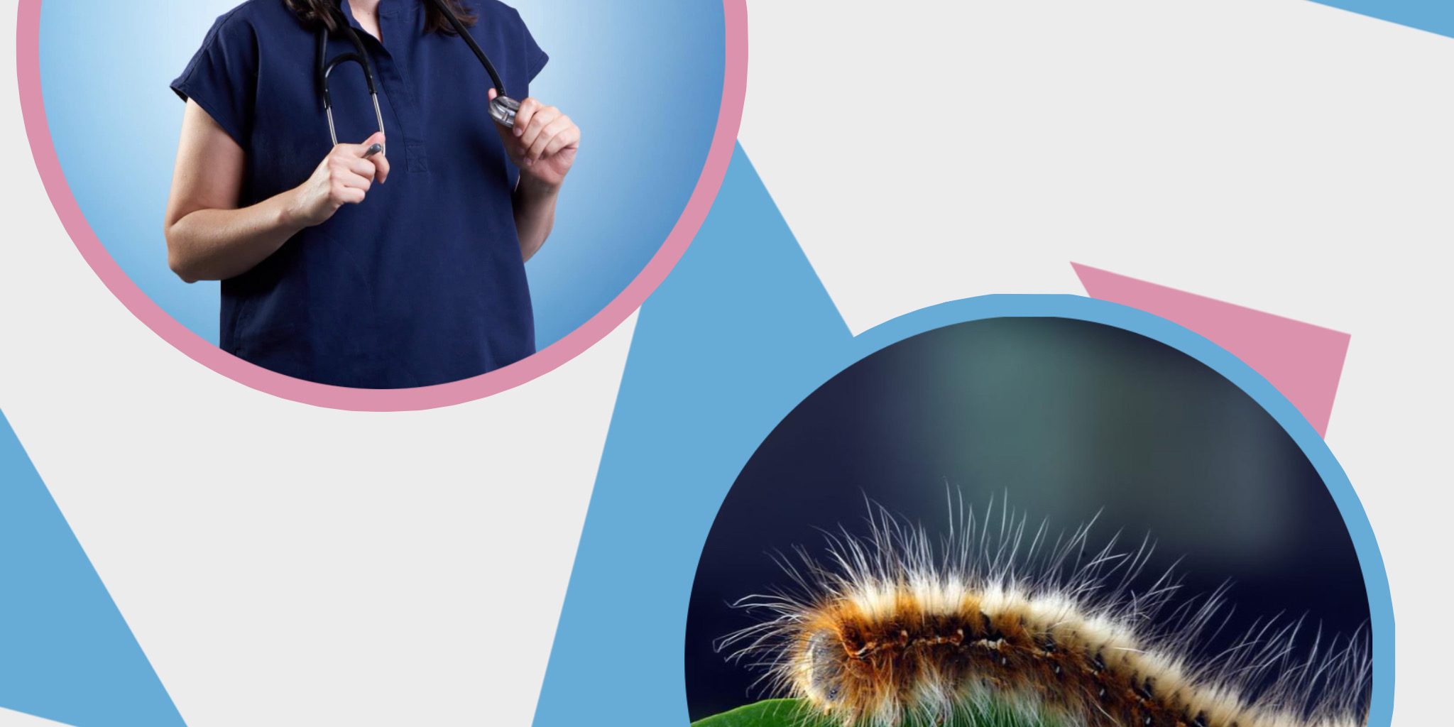 939F825A-2FCA-4232-8354-85DA1B636D14