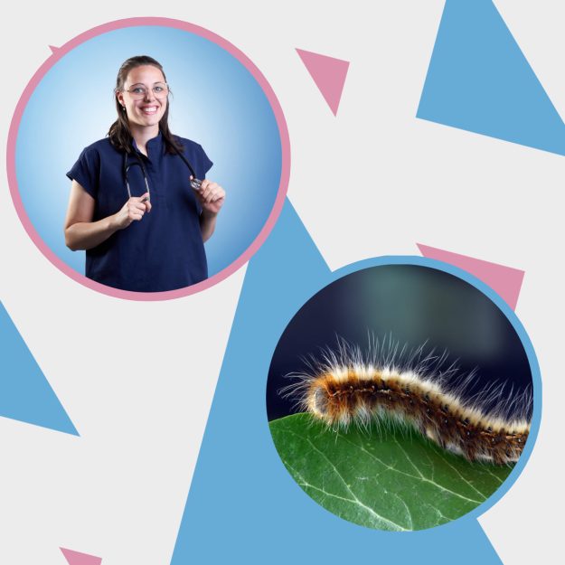 939F825A-2FCA-4232-8354-85DA1B636D14