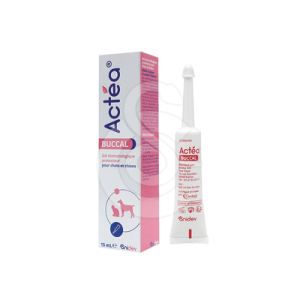Actea buccal