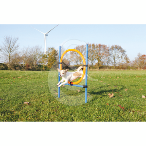 Agility : Anneau Trixie Fun