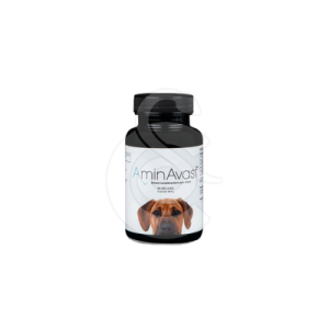 AminAvast Chiens