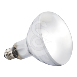 Ampoule Solar Glo UVA/UVB pour reptiles