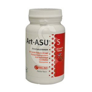 Art-Asu S