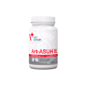 Art-ASUH XL