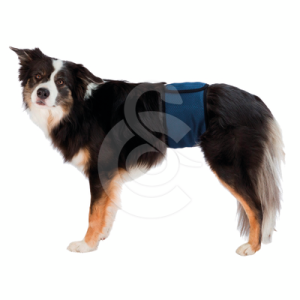 Bande ventrale Trixie pour chien mâle