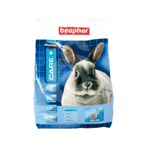 Care + Lapin