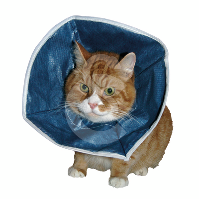 Carcan souple Buster Soft Collar UU