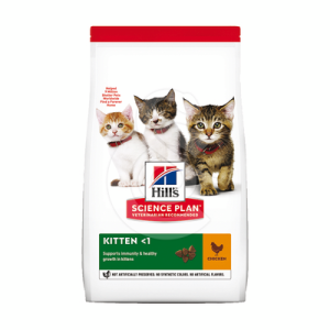 Chat Kitten Poulet
