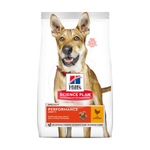 Chien Adult Performance