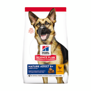 Chien Mature Adult 6+ Large Breed Poulet