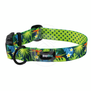 Collier Hop Dog Tropics Time