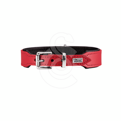 Collier cuir Hunter Basic