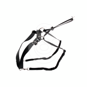 Collier éducation MaxiLeader