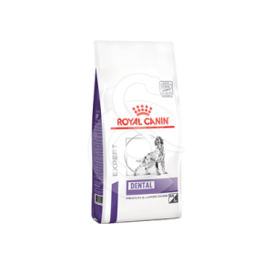 Dog Dental Medium Large