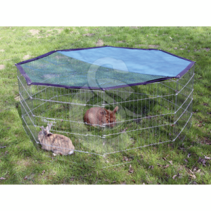 Enclos octogonal pour rongeurs