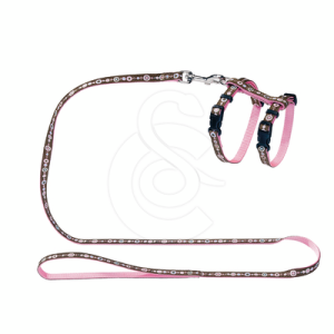 Ensemble harnais/Laisse chat Hunter