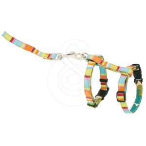Ensemble harnais/laisse chat Hunter