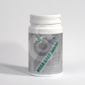 Equistro Mega Base Junior