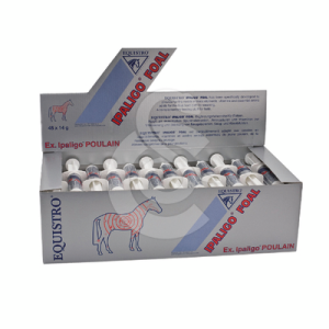 Equistro Ipaligo Foal