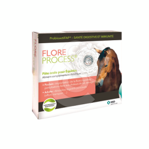 Flore Process Cheval
