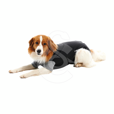 Gilet Body Suit Classic Buster pour chien