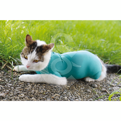 Gilet CatBody VetMedCare pour chat