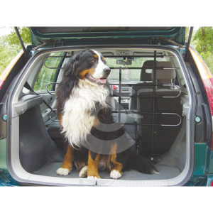 Grille pare-chien universelle pour voiture