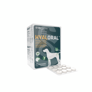 Hyaloral Grande et très grandes races