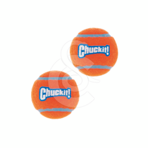 Jouet chien Chuck It : Balle