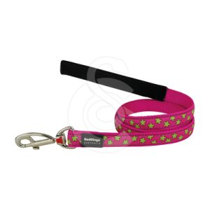 Laisse Red Dingo