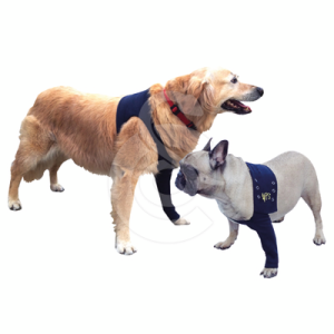 Manche antérieure Pet Shirt pour chien
