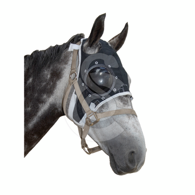 Masque de protection oculaire Equivet