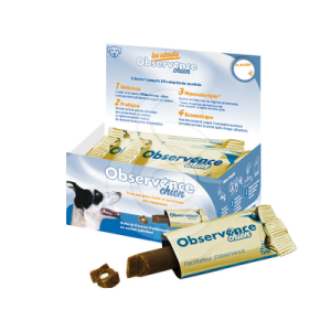 Observence Chien en barre