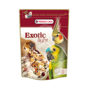 Perroquets Exotic Light