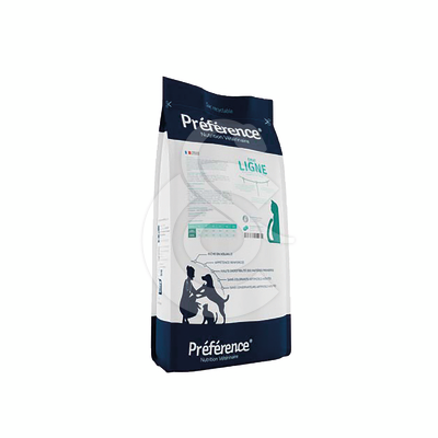 Préférence Chat ligne