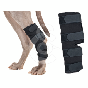 Protection patte arrière pour chien Back On Track
