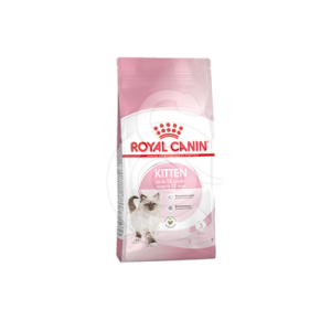 Cat Kitten Royal Canin