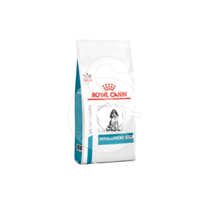 Dog Hypoallergenic Puppy