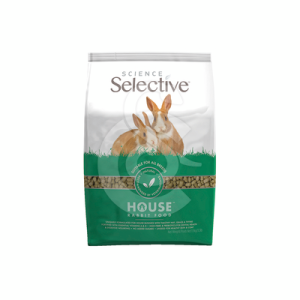Selective House Rabbit